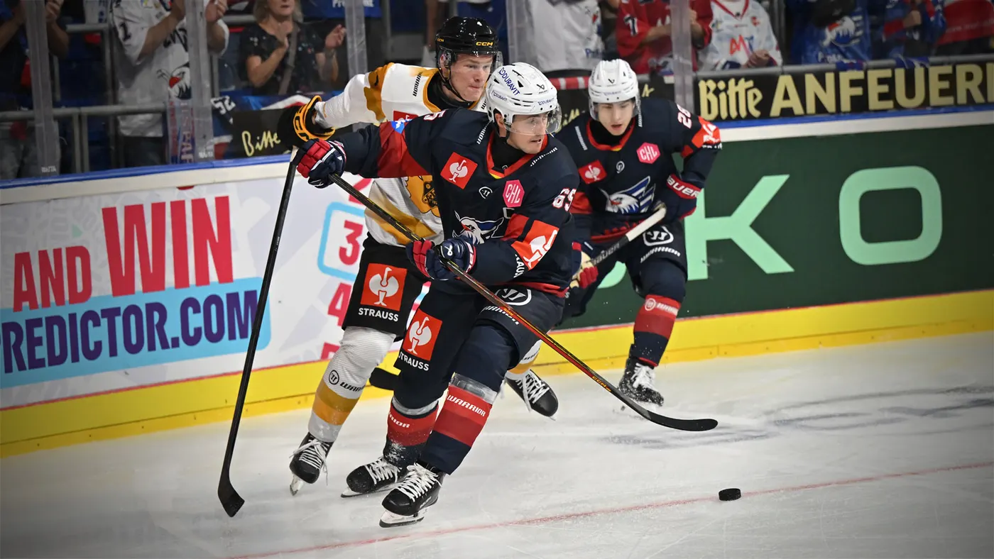 Adler Mannheim beim 1:3 gegen Skellefteå AIK in der Champions Hockey League
