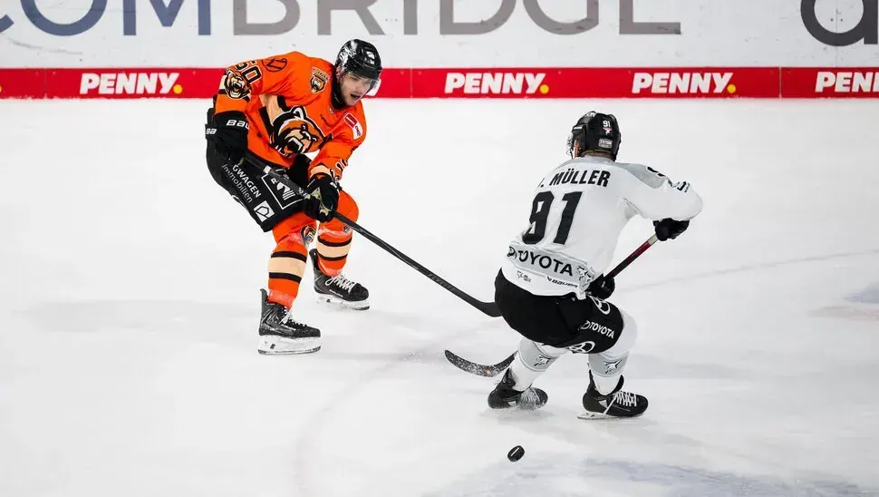 Die Grizzlys live im Free-TV
