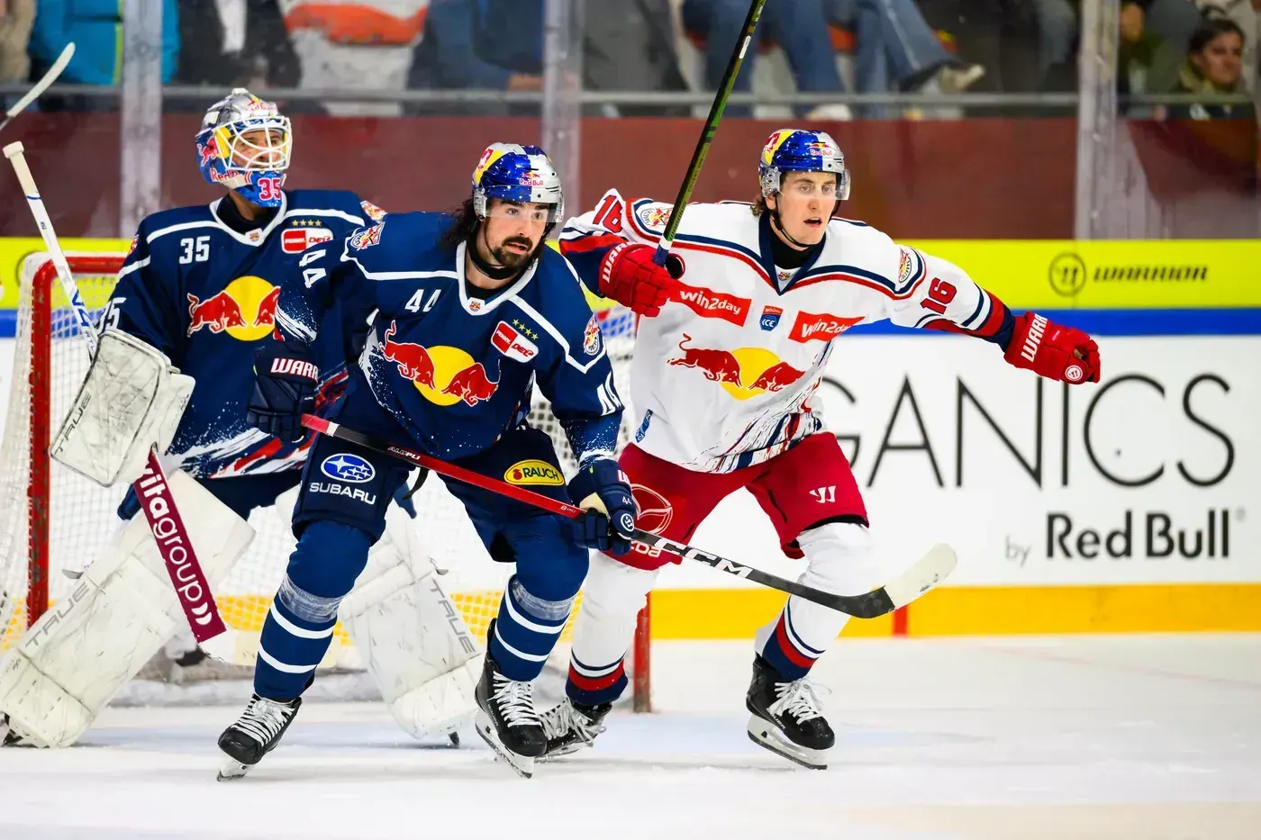 Red Bulls Salute: EHC Red Bull München verliert gegen den EC Red Bull Salzburg