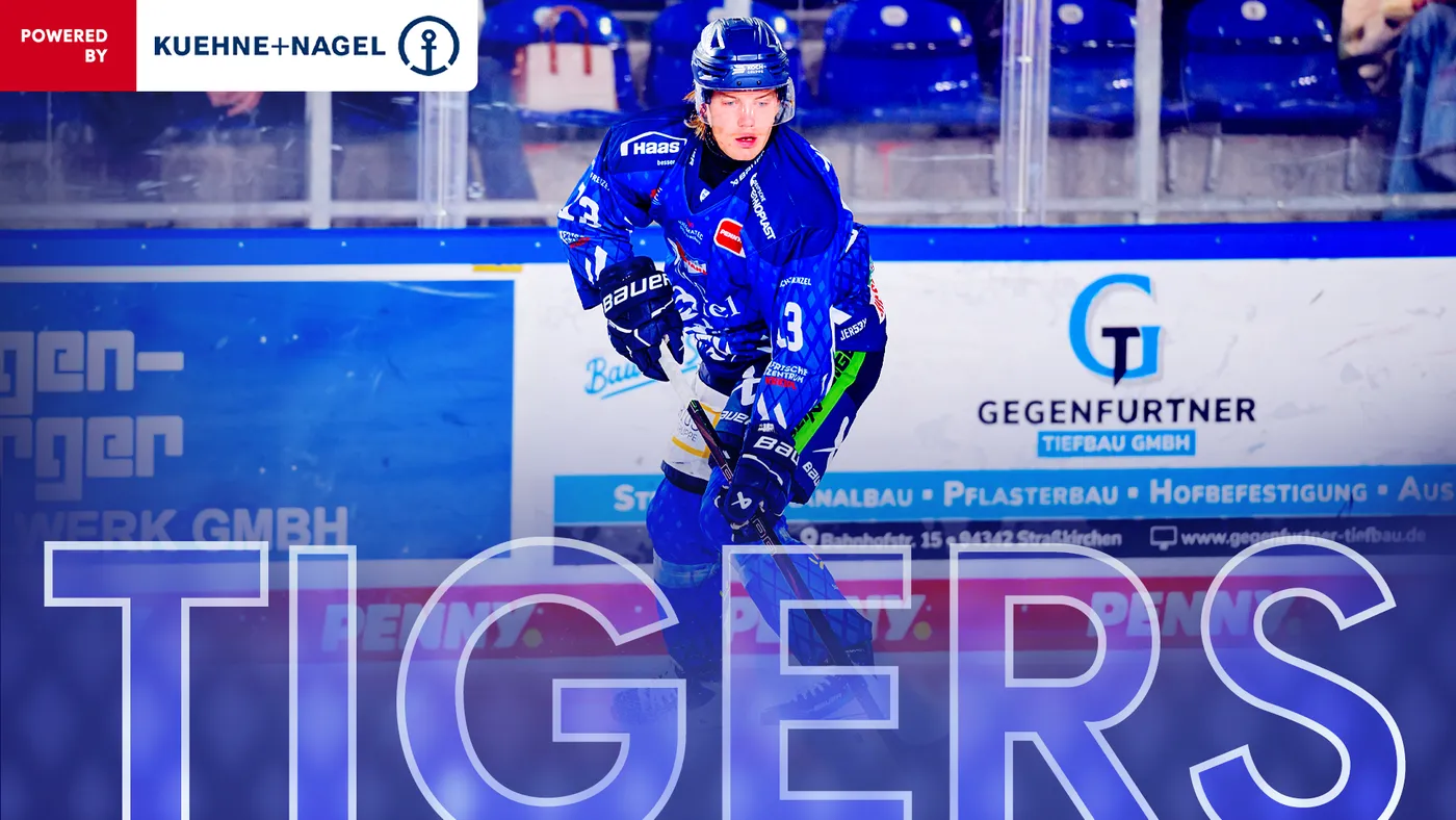 Straubing Tigers beim 4:1-Heimsieg gegen den ERC Ingolstadt
