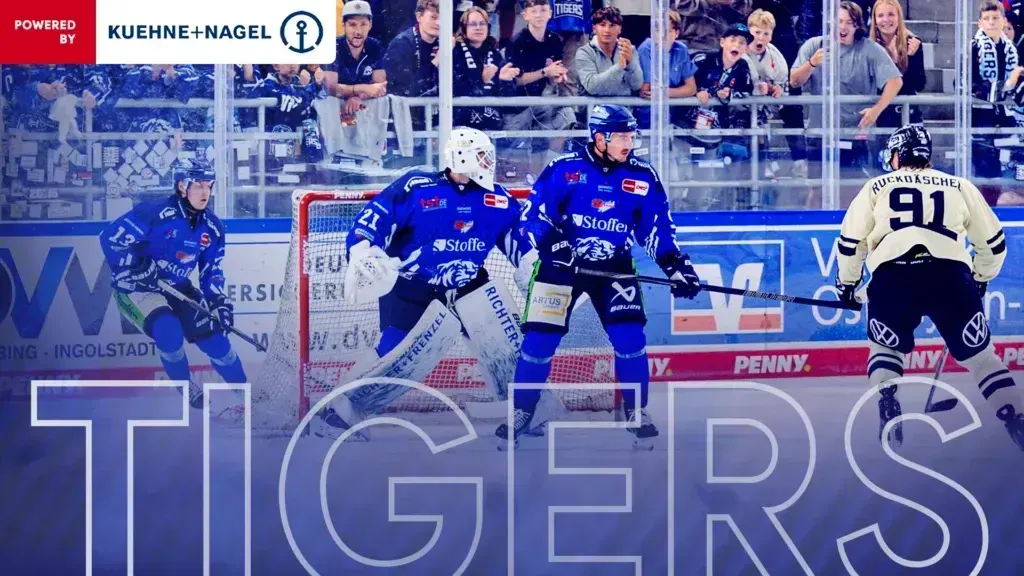 Straubing Tigers unterliegen im Finale des Gäubodencups