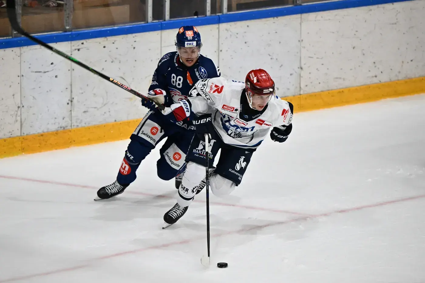 WILD WINGS fordern den ZSC